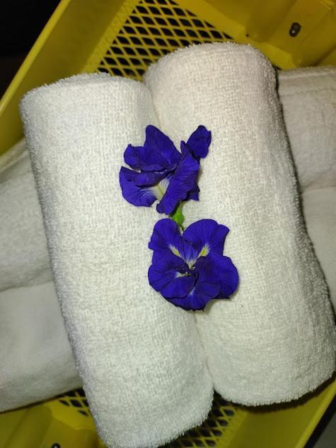 Canaan Beauty Farm B&B تشينجونج المظهر الخارجي الصورة