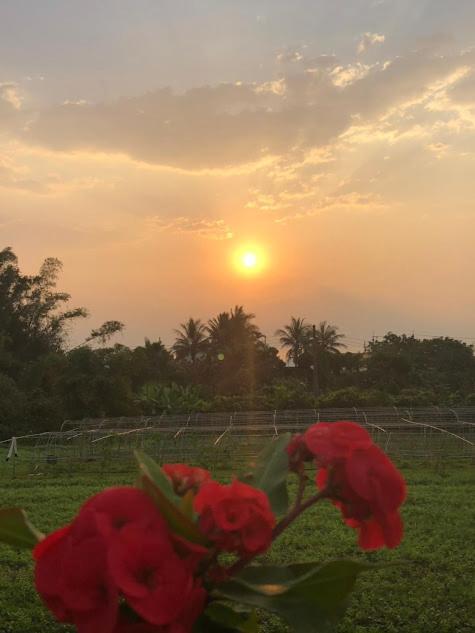 Canaan Beauty Farm B&B تشينجونج المظهر الخارجي الصورة