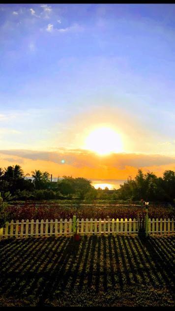 Canaan Beauty Farm B&B تشينجونج المظهر الخارجي الصورة
