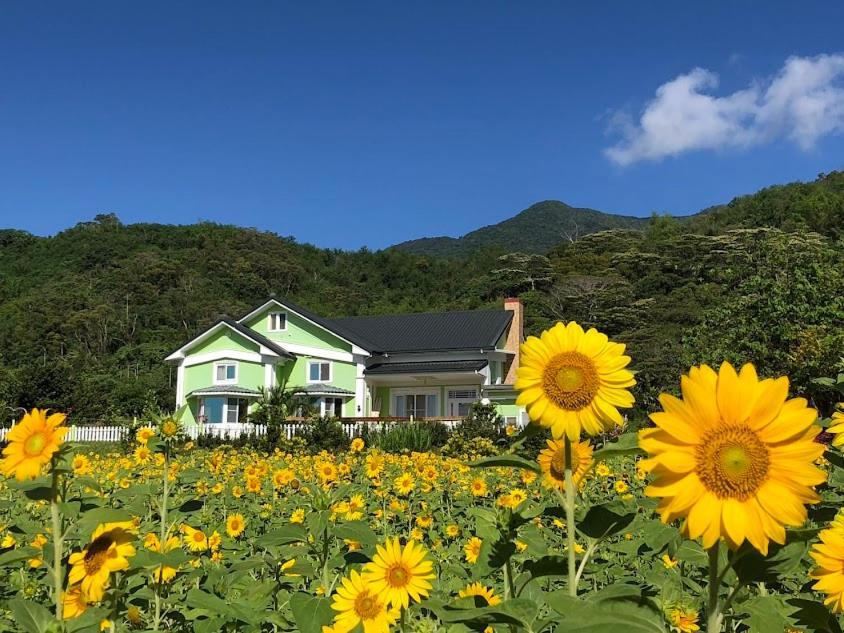 Canaan Beauty Farm B&B تشينجونج المظهر الخارجي الصورة